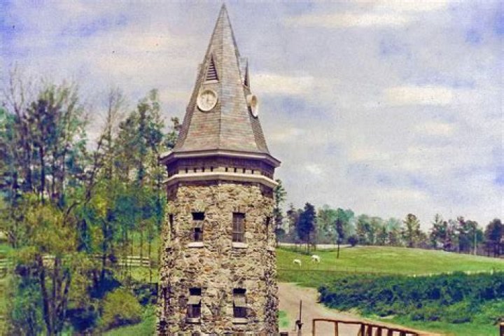 Ciarán Hinds Height: A Closer Look At The Acclaimed Actor