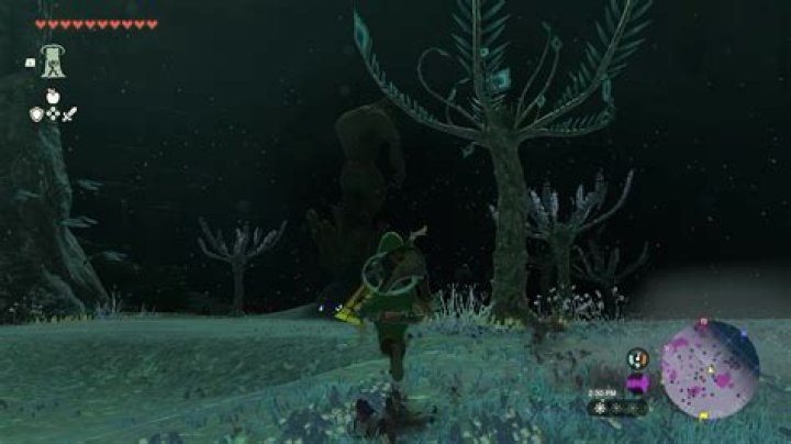 Discovering The Enigma: William Zabaka Age