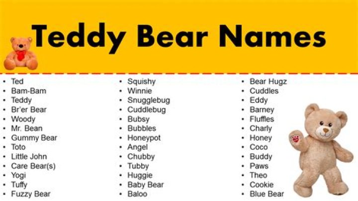 Discovering The World Of Famous Bear Names