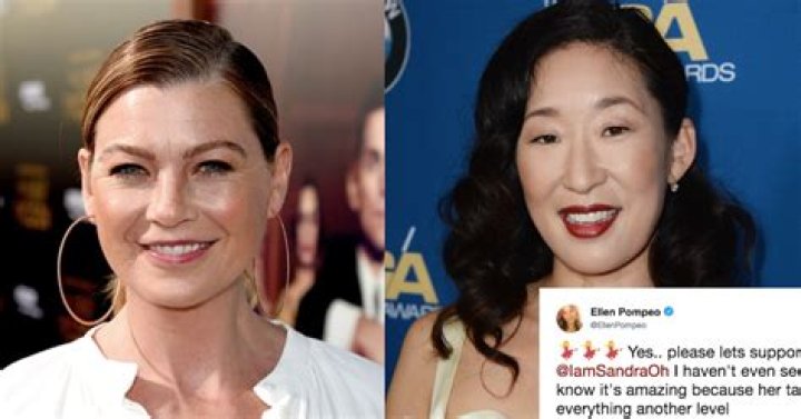 Ellen Pompeo Supports Sandra Oh's New Show On Twitter & Their 'Grey's