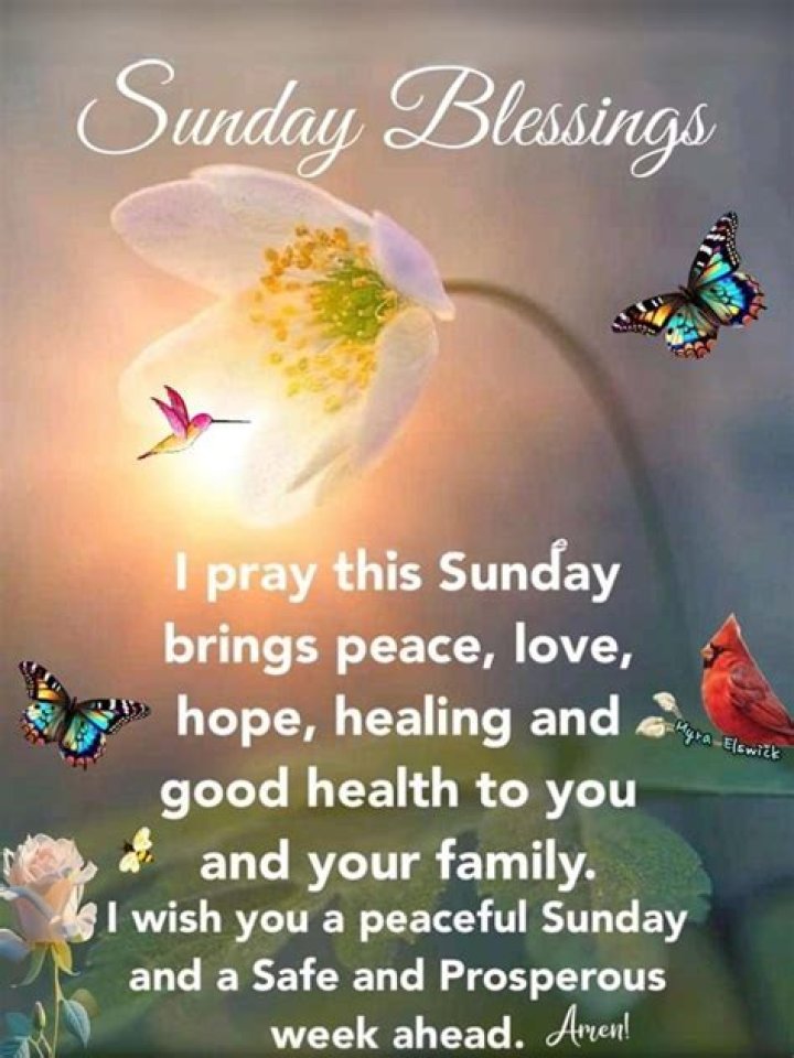 Embracing The Light Of Friday: A Special Blessings Prayer