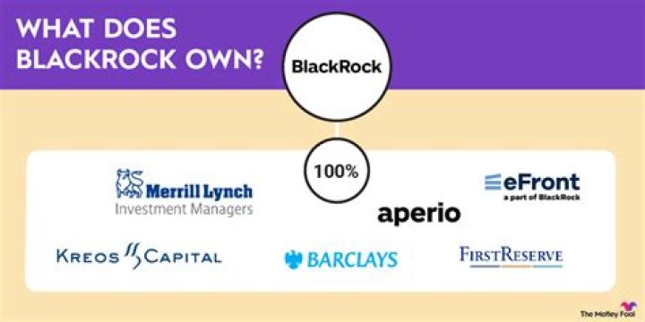 Exploring BlackRock's Vast Ownership: What Does BlackRock Own?