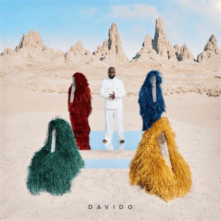 Exploring The Astonishing Wealth Of Davido