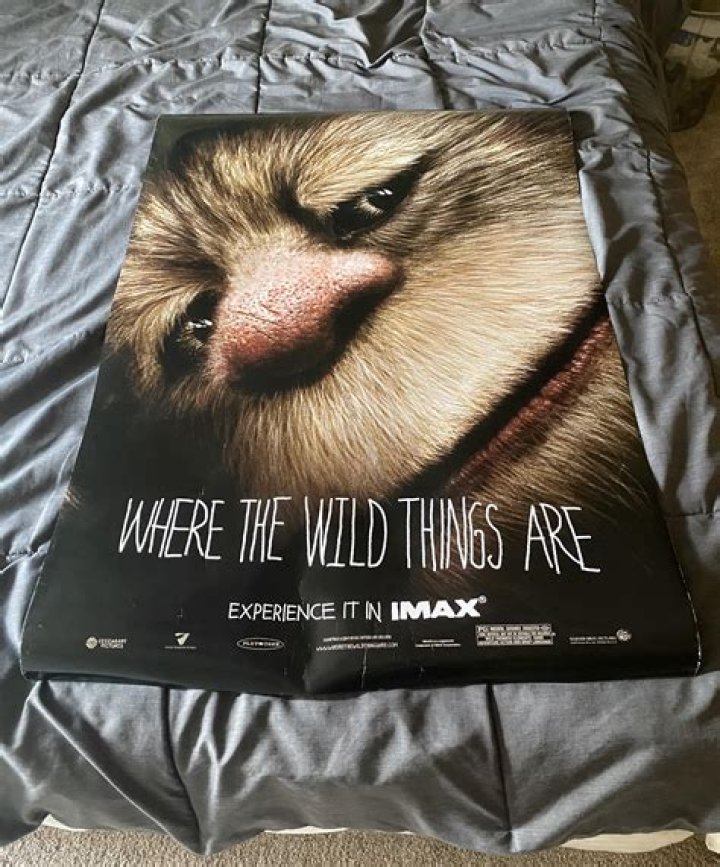 Exploring The Enchantment Of Out Where The Wild Things Are