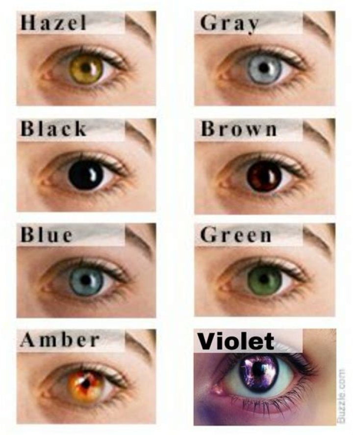 Exploring The Eye Color Of Barron Trump: A Unique Insight
