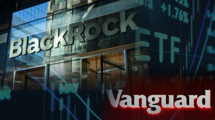 Exploring The Giants Of Investment: BlackRock And Vanguard