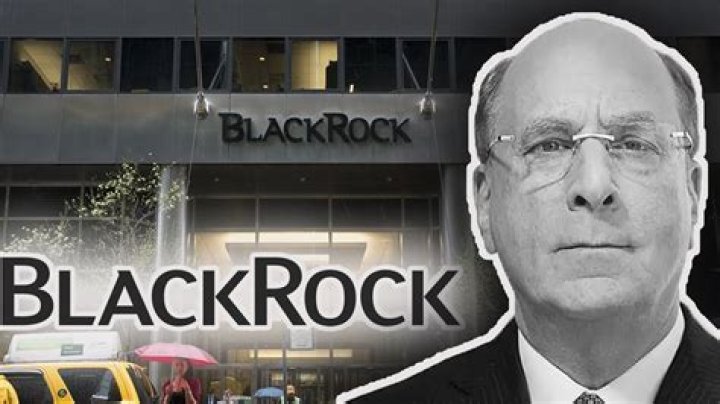Exploring The Impact And Influence Of The Black Rock Group