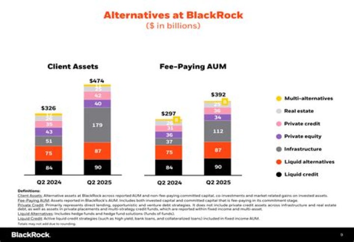 Exploring The Impact Of BlackRock Commercials On Financial Awareness