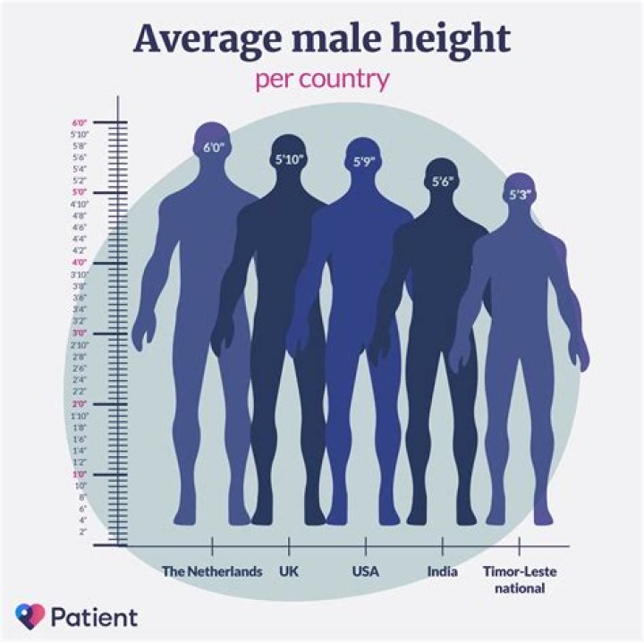 Korean Men Average Height: Understanding The Trends And Factors