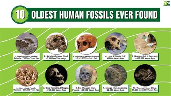 Meet The Oldest Human Ever Documented: A Journey Through Time