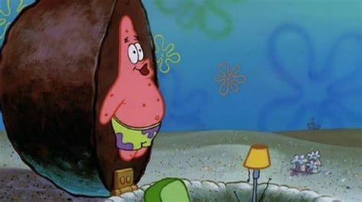 NickALive! What Patrick Star's House Should Really Look Like in