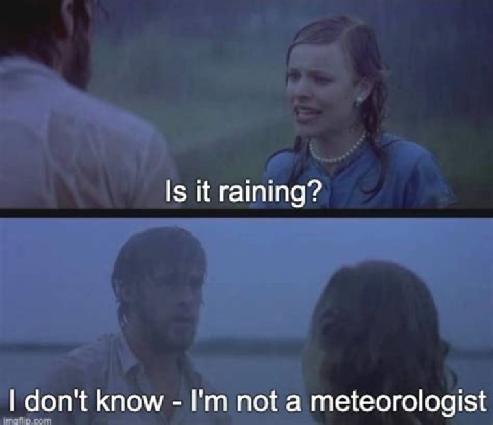 The Definitive Guide: I'm A Rodent, Not A Meteorologist