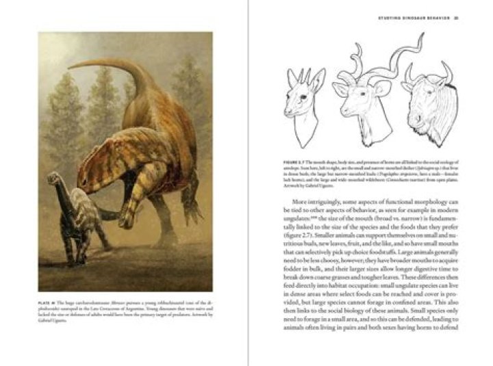 Uncovering The Life Of Lucy Eaton's Husband