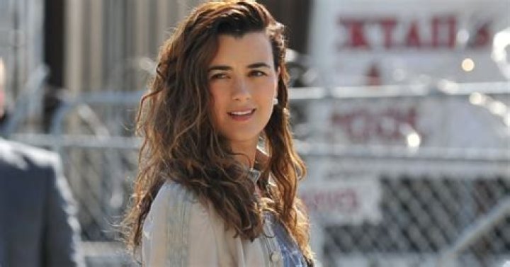 Uncovering The Truth About Cote De Pablo's Daughter: Existence And Facts