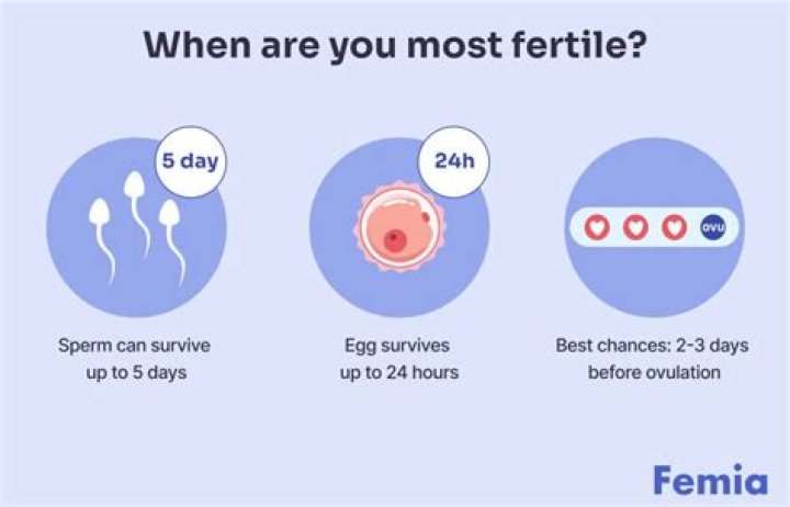Understanding Fertility: What Age Can You Get Pregnant?
