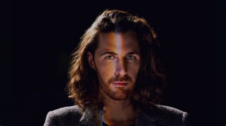 Unraveling The Mystery: Does Hozier Have A Brother?