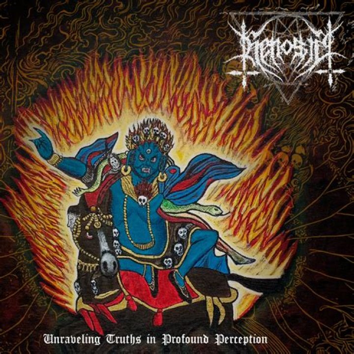 Unraveling Truths: The JLR Investigates Saga