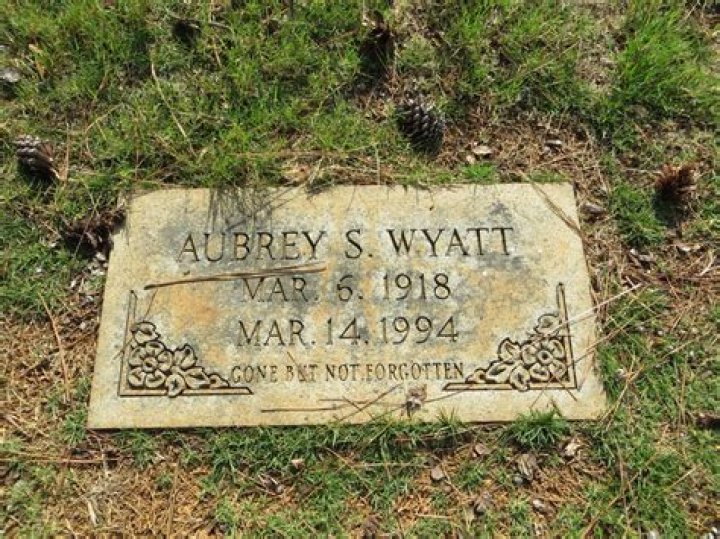 Unveiling The Journey: The Story About Aubrey Wyatt