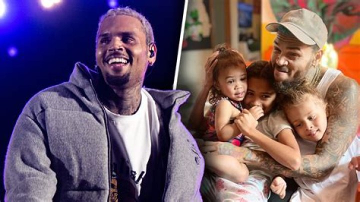 Unveiling The Life Of Chris Brown And His Family