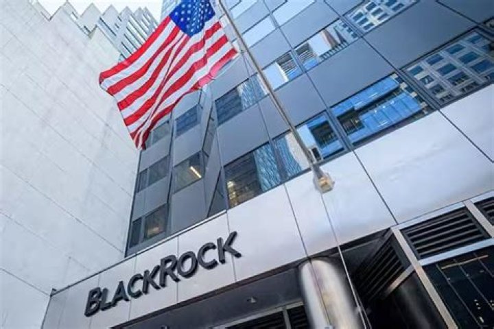 Unveiling The Mysteries Of BlackRock Stock Holdings