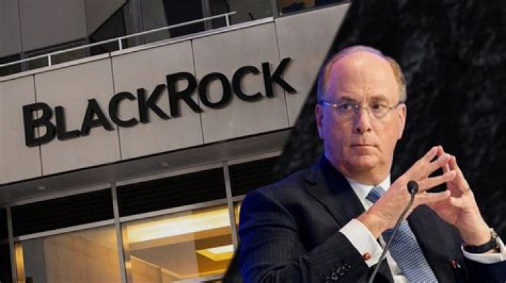 Unveiling The Mysteries Of The BlackRock Company Owner